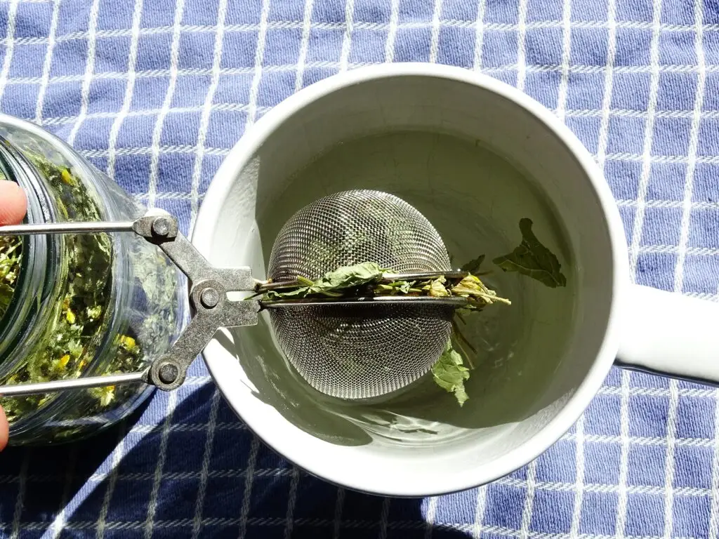 Self-dried,Herbal,Tea,Of,Chamomile,,Lemon,Balm,And,Mint,In