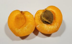 Apricot cut in half with pit on white cutting board