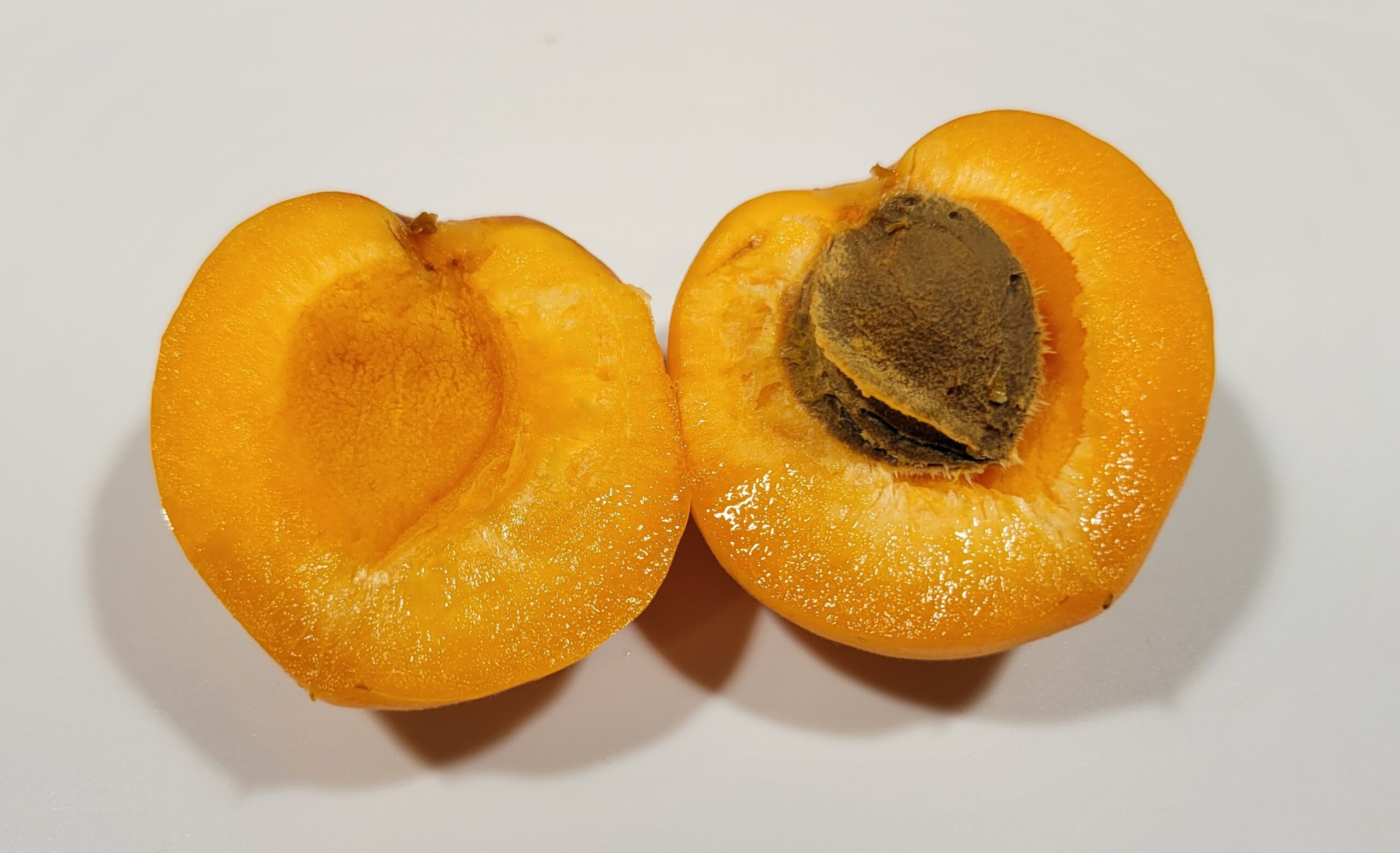 Simple Recipe for How to Make Dehydrated Apricots